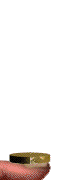 cointoss.gif (19457 bytes)