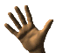 wave.gif (14606 bytes)